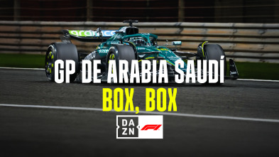 Imagen de Mundial F1 - GP... (2025): Box, Box - 2