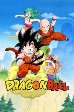 Dragon Ball (T3): Ep.44 Un duelo excepcional
