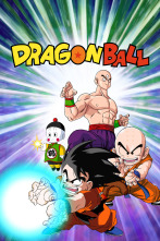 Dragon Ball (T4): Ep.3 Un extraño encuentro