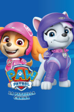 La Patrulla Canina (T10): Rescue Wheels: Los cachorros salvan Bahía Aventura