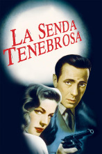 Imagen de La senda tenebrosa - 1
