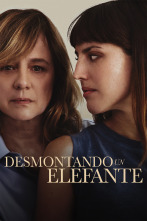 Desmontando un elefante