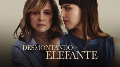 Desmontando un elefante