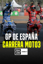 Imagen de MotoGP - GP de... (2025): Carrera Moto3 - 1