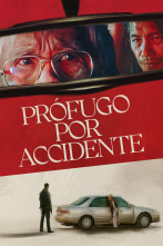 Imagen de Prófugo por accidente - 1
