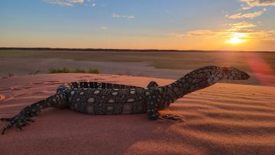 Imagen de Superviviente por...: Los pobladores del desierto - 1