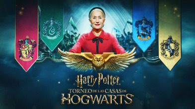 Imagen de Harry Potter: El Torneo de las Casas de Hogwarts (T1) - 2