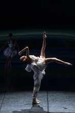 Imagen de El lago de los cisnes de Angelin Preljocaj - Teatro Nacional de Chaillot - 1