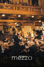 Claudio Abbado Berliner Philharmoniker: Brahms