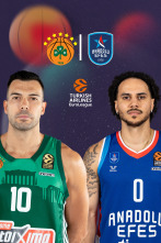Panathinaikos - Anadolu Efes (Partido 2)