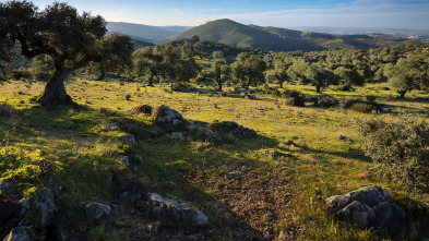 Imagen de Monteando en el Guadiana portugués - 3