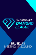 Imagen de Meeting: Bruselas - 1