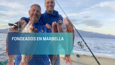 Fondeados en Marbella