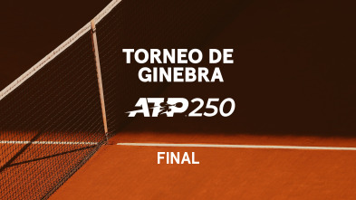 Imagen de Final - 2