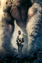 Imagen de Proyecto Rampage - 3