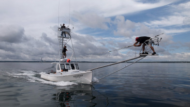 Imagen de Pesca con arpón: Atún rojo - 2