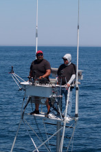 Imagen de Pesca con arpón: Deben ser gigantes - 1