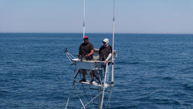 Imagen de Pesca con arpón: Deben ser gigantes - 2