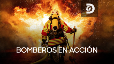 Bomberos en acción (T3)