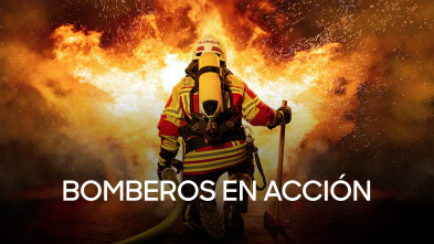 Bomberos en acción (T3)