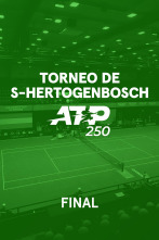 Imagen de Final: Bergs - Diallo - 1