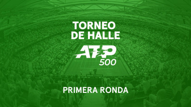 Imagen de 1ª Ronda: Altmaier - Medvedev - 2