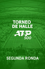 Imagen de Octavos de Final: Halys - Medvedev - 1