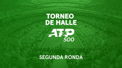 Imagen de Octavos de Final: Halys - Medvedev - 2