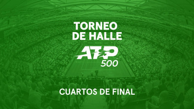 Imagen de Cuartos de Final: Cobolli - Zverev - 2