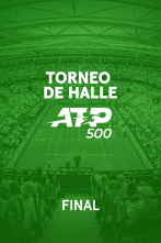 Imagen de Final - 1