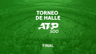 Imagen de Final - 2