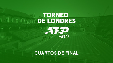 Imagen de Cuartos de Final: Cuarto de Final 4 - 2