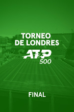 Imagen de Final - 1