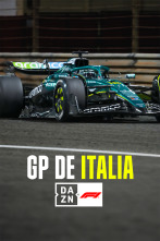 Imagen de Mundial F1 - GP de Italia (2025) - 2