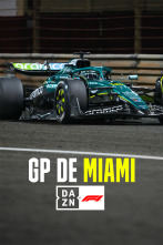 Mundial F1 - GP de Miami (2025)