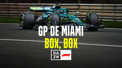 Imagen de Mundial F1 - GP... (2025): Box, Box - 2