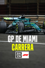 Imagen de Mundial F1 - GP... (2025): Carrera - 1