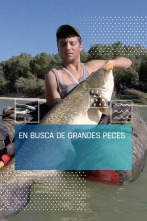 Imagen de En busca de peces grandes - 1