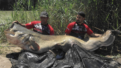 Imagen de En busca de peces grandes - 3