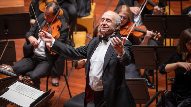 Imagen de Budapest Festival Orchestra, Iván Fischer, Nicolas Namoradze: Brahms - 4