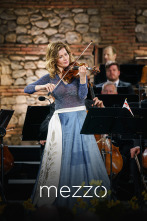 Imagen de Berliner Philharmoniker, Lisa Batiashvili, Daniel Harding - Brahms, Beethoven - 1