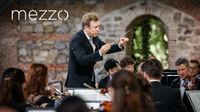 Imagen de Berliner Philharmoniker, Lisa Batiashvili, Daniel Harding - Brahms, Beethoven - 2