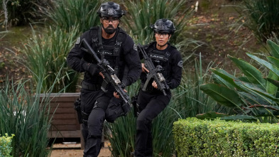 Imagen de S.W.A.T.:  Los... (T8): Ep.18 Vulnerable - 1