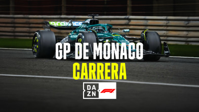 Imagen de Mundial F1 - GP... (2025): Previo Carrera - 2