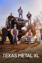 Imagen de Texas Metal XL  - 1