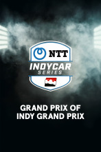 Imagen de Lo mejor de Indycar (2025): IMS Road Course. Indianápolis - 1
