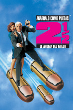 Imagen de Agárralo como puedas 2 1/2: el aroma del miedo - 1