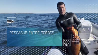 Imagen de Pescasub entre torres - 2