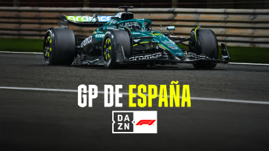 Imagen de Mundial F1 - GP de España (2025) - 5