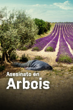 Imagen de Asesinato en Arboix - 3